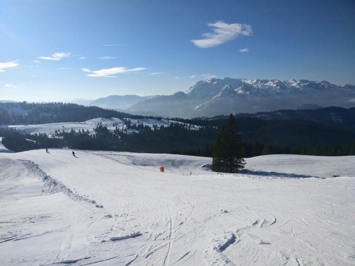 Pension Edelweiss Top 25 Gosau Exterior foto