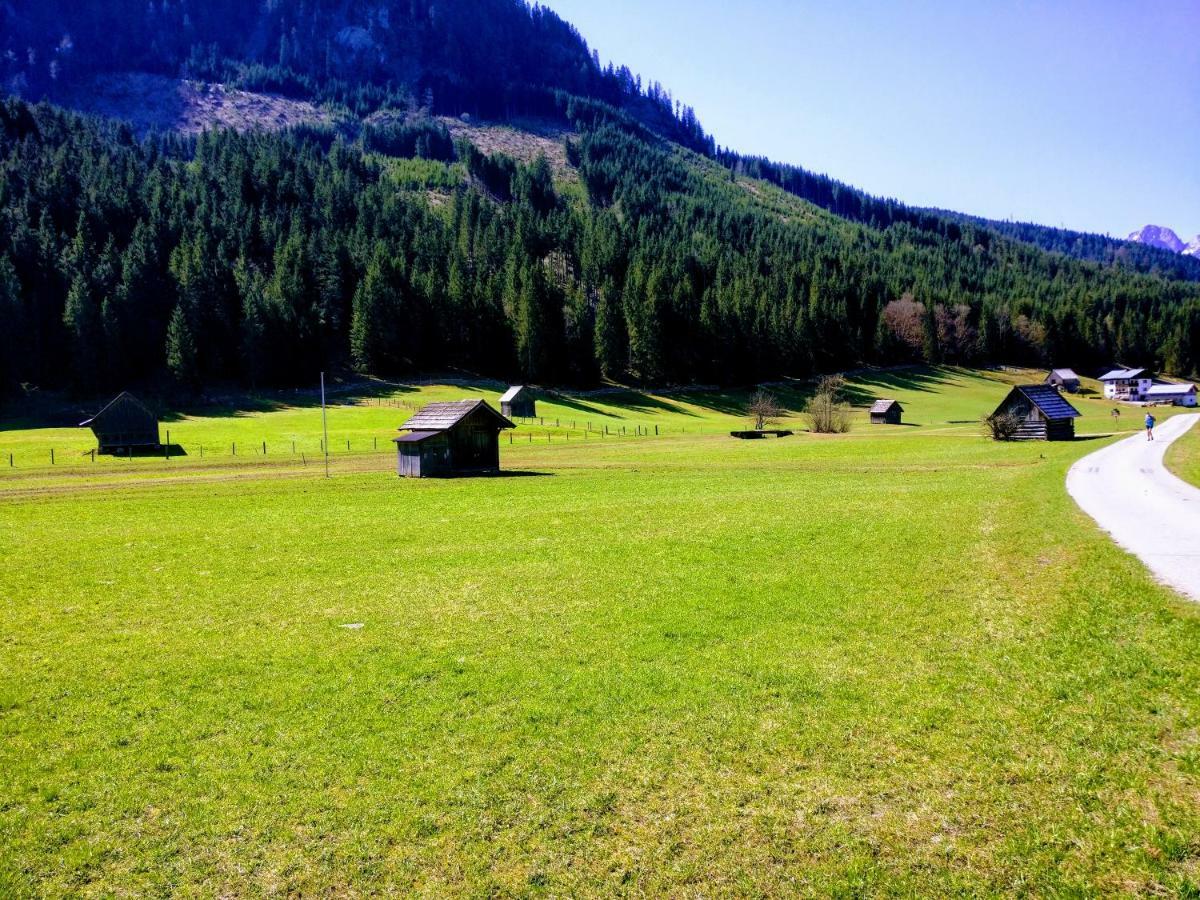 Pension Edelweiss Top 25 Gosau Exterior foto