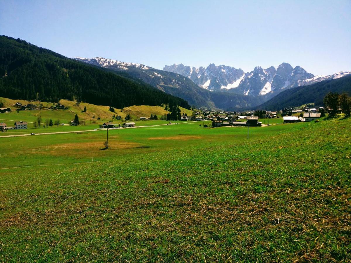Pension Edelweiss Top 25 Gosau Exterior foto