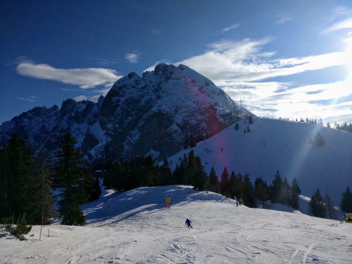Pension Edelweiss Top 25 Gosau Exterior foto