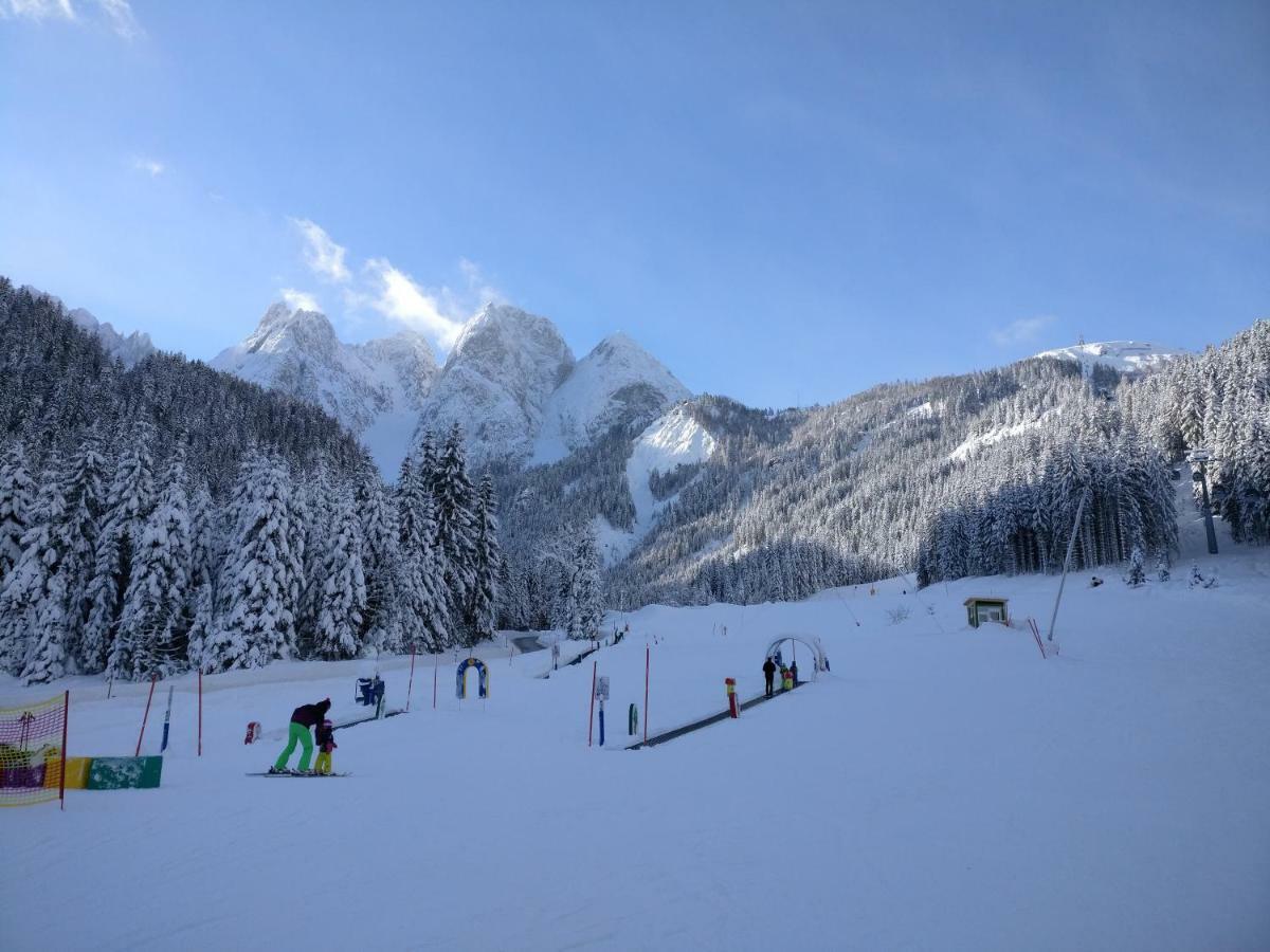 Pension Edelweiss Top 25 Gosau Exterior foto