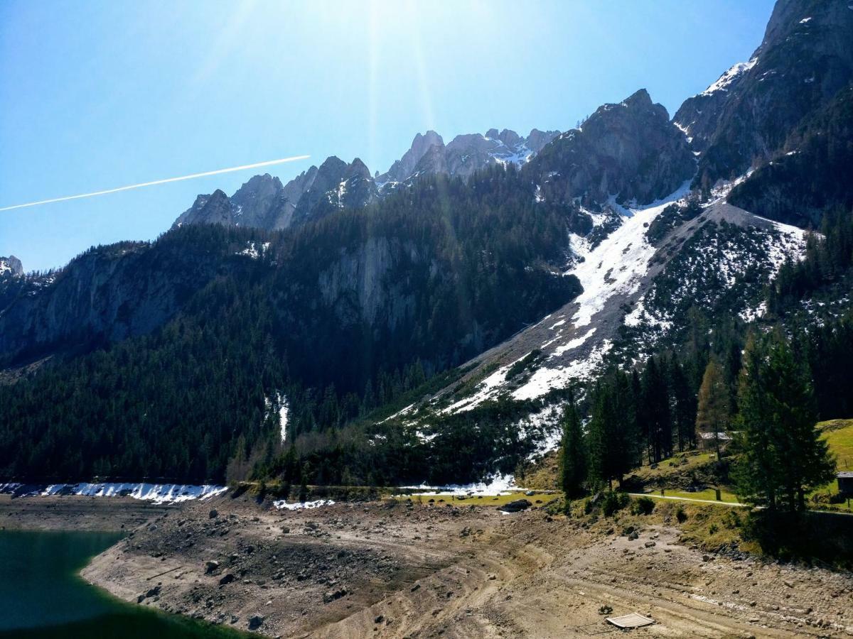Pension Edelweiss Top 25 Gosau Exterior foto