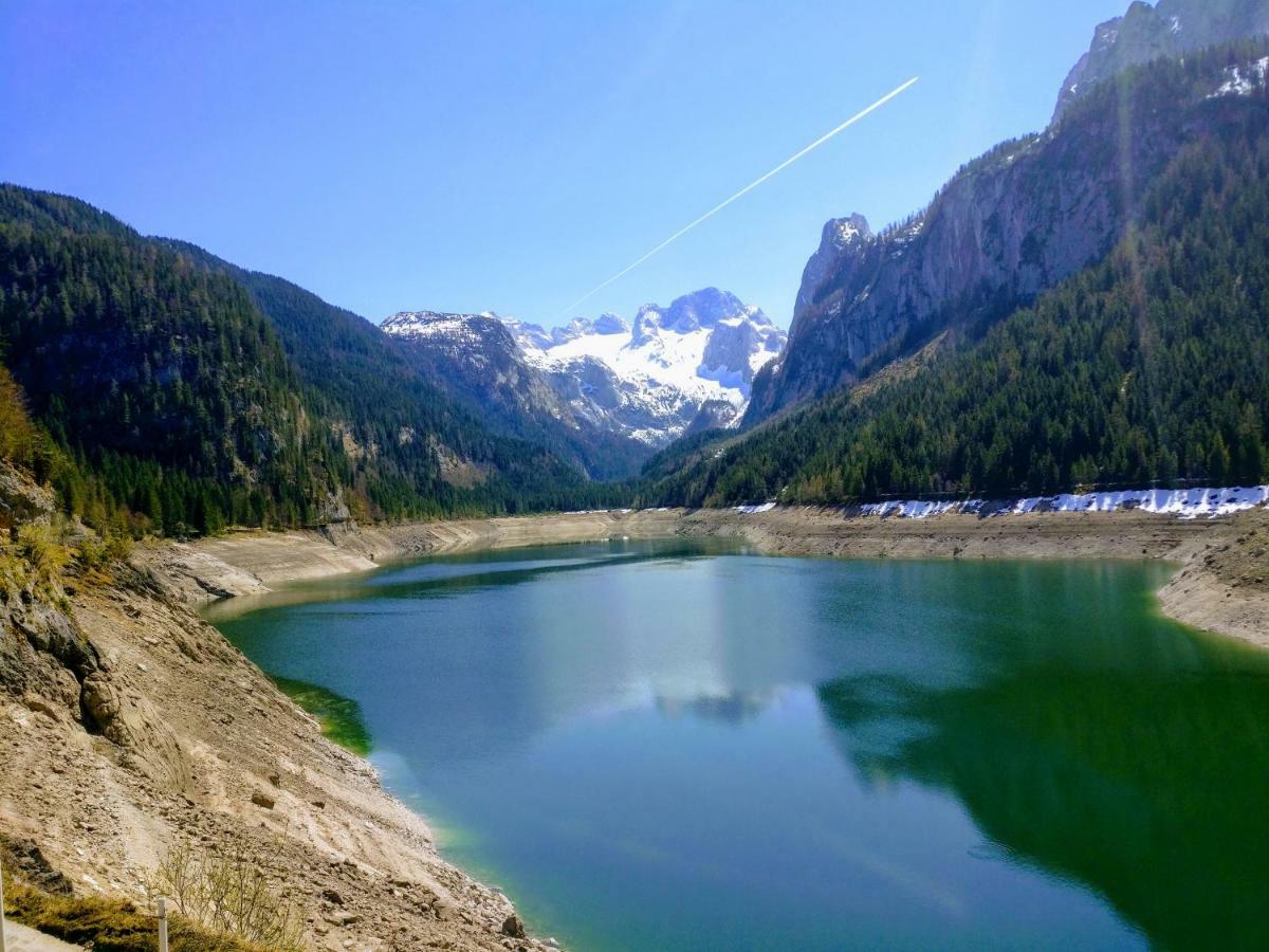 Pension Edelweiss Top 25 Gosau Exterior foto