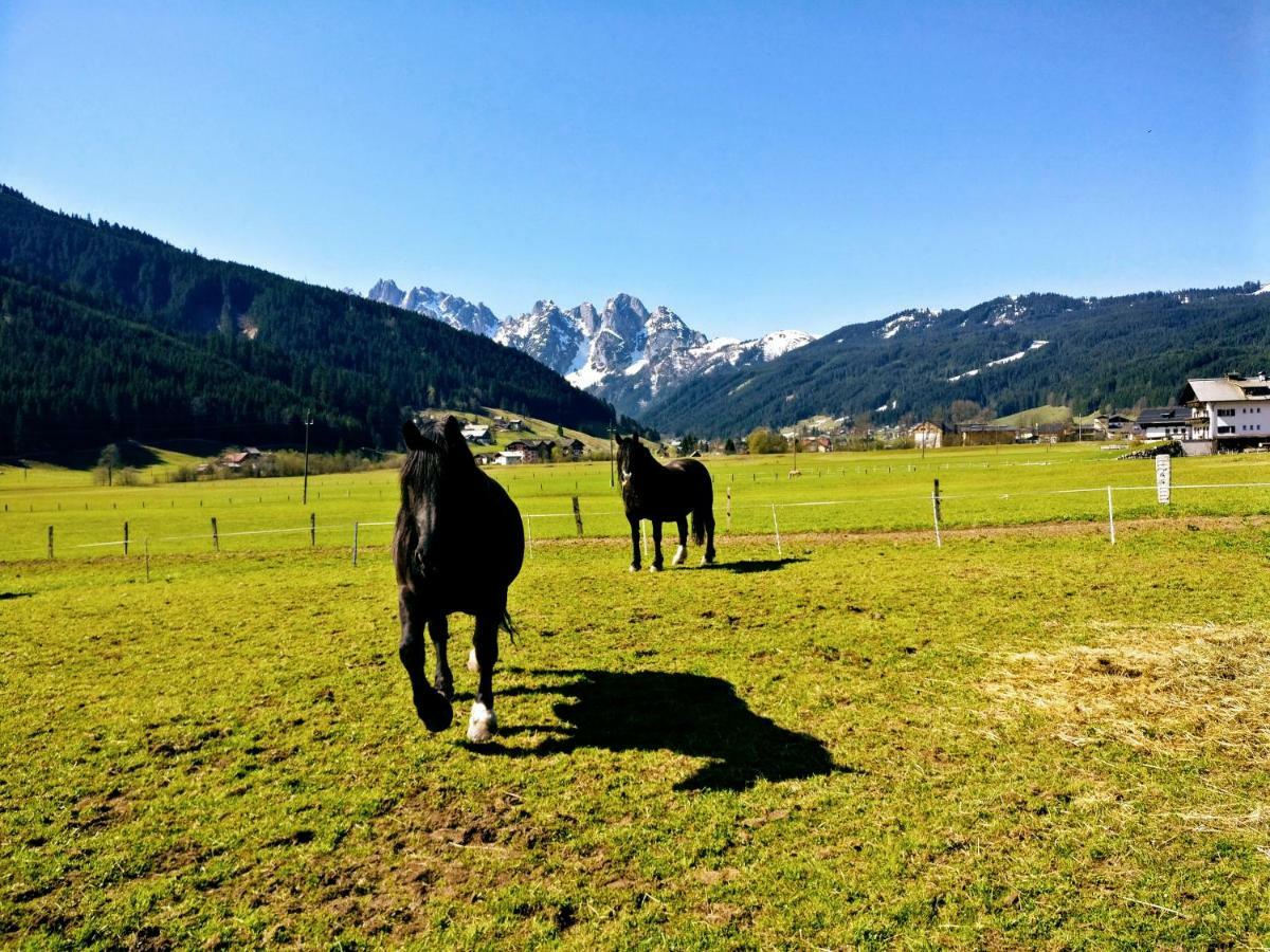 Pension Edelweiss Top 25 Gosau Exterior foto