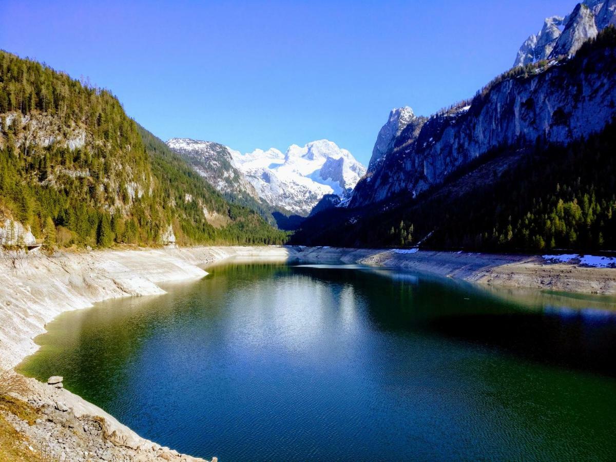 Pension Edelweiss Top 25 Gosau Exterior foto