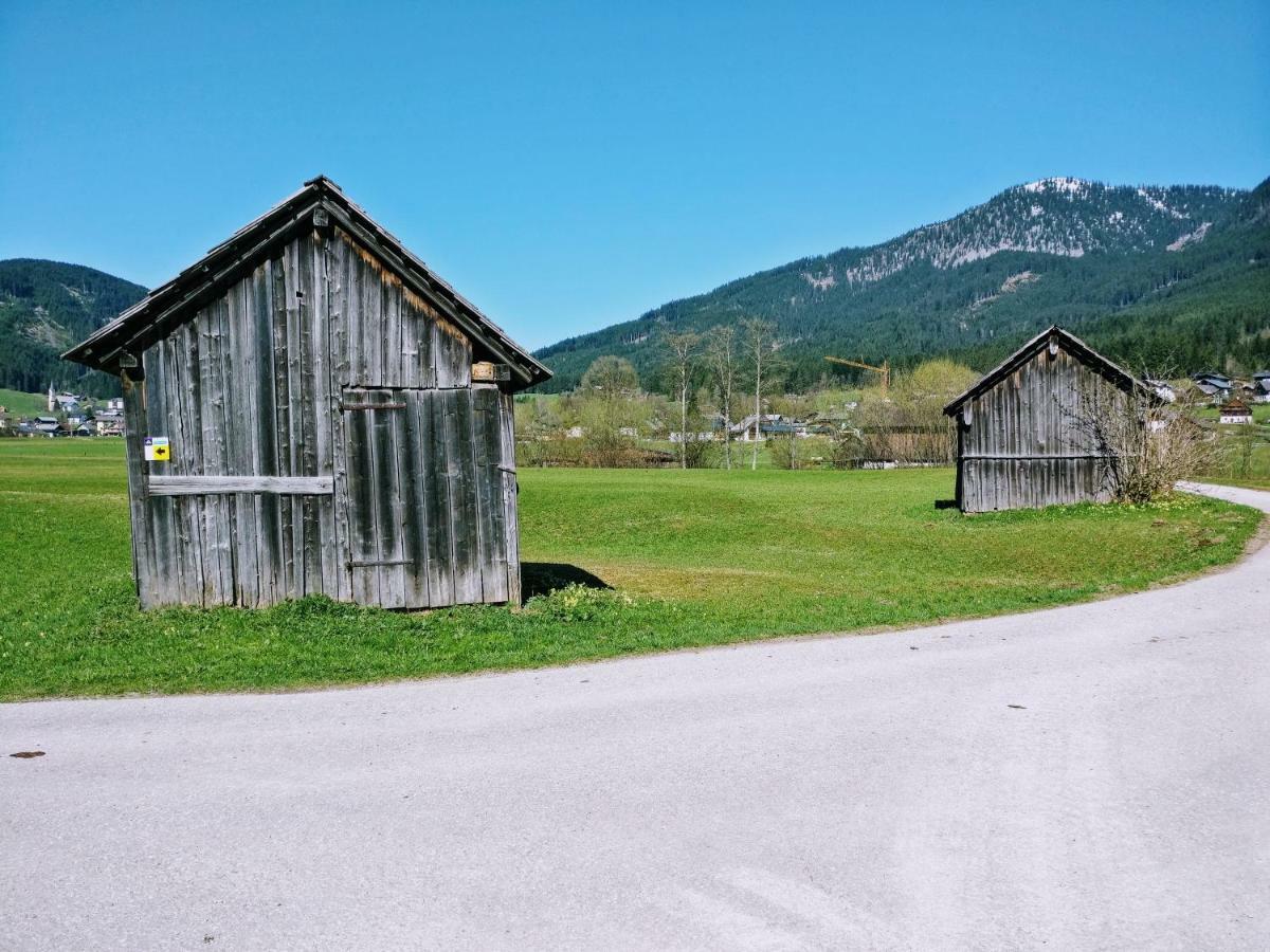 Pension Edelweiss Top 25 Gosau Exterior foto