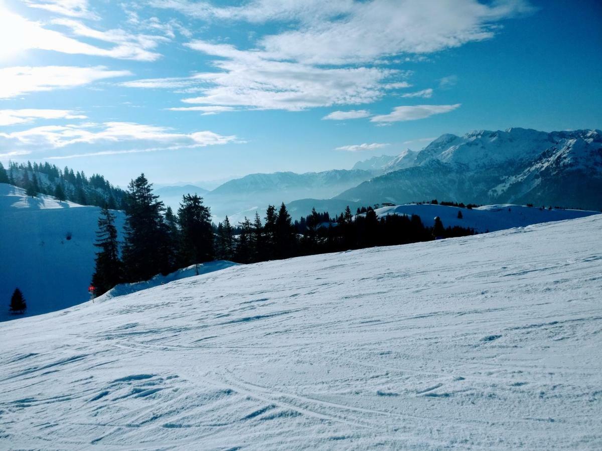Pension Edelweiss Top 25 Gosau Exterior foto