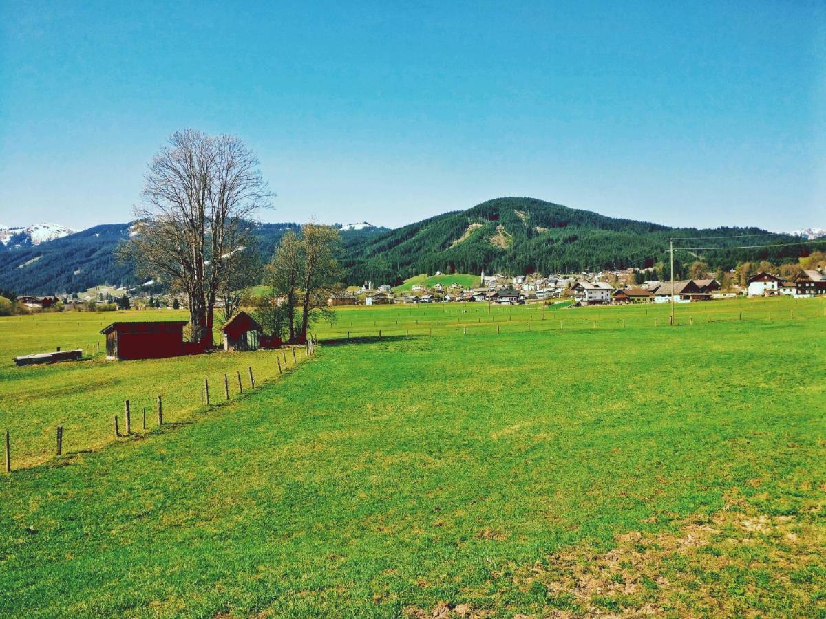 Pension Edelweiss Top 25 Gosau Exterior foto