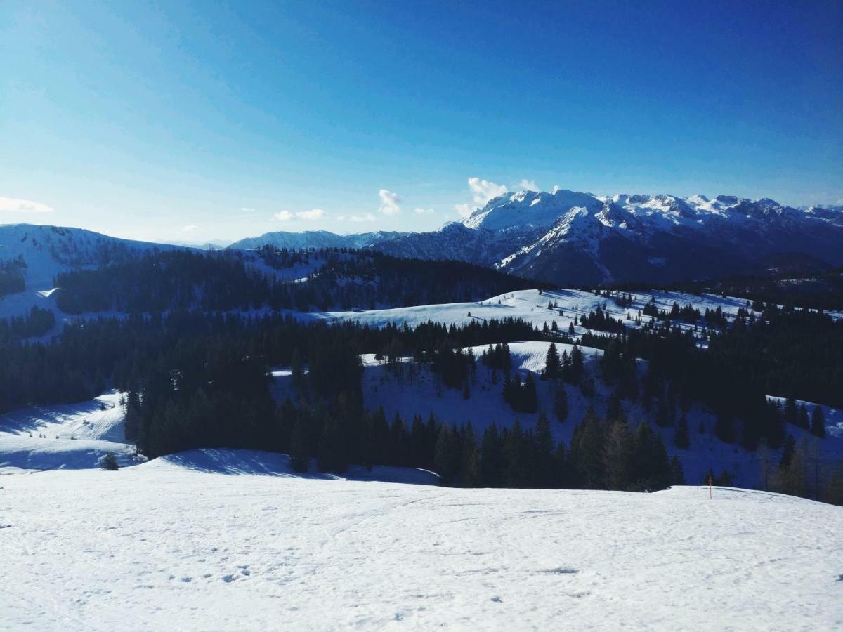 Pension Edelweiss Top 25 Gosau Exterior foto