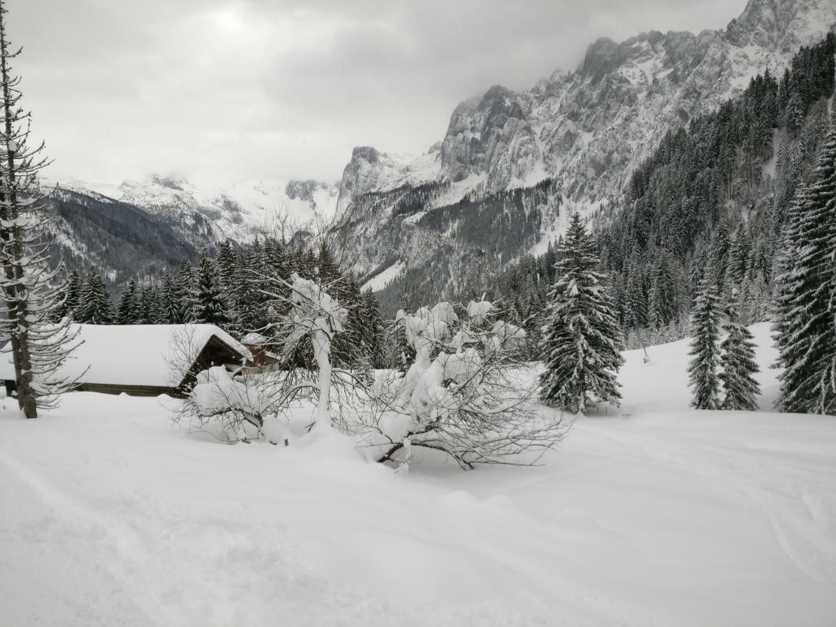 Pension Edelweiss Top 25 Gosau Exterior foto
