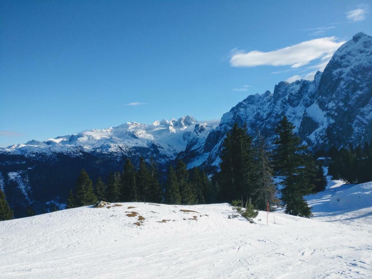 Pension Edelweiss Top 25 Gosau Exterior foto
