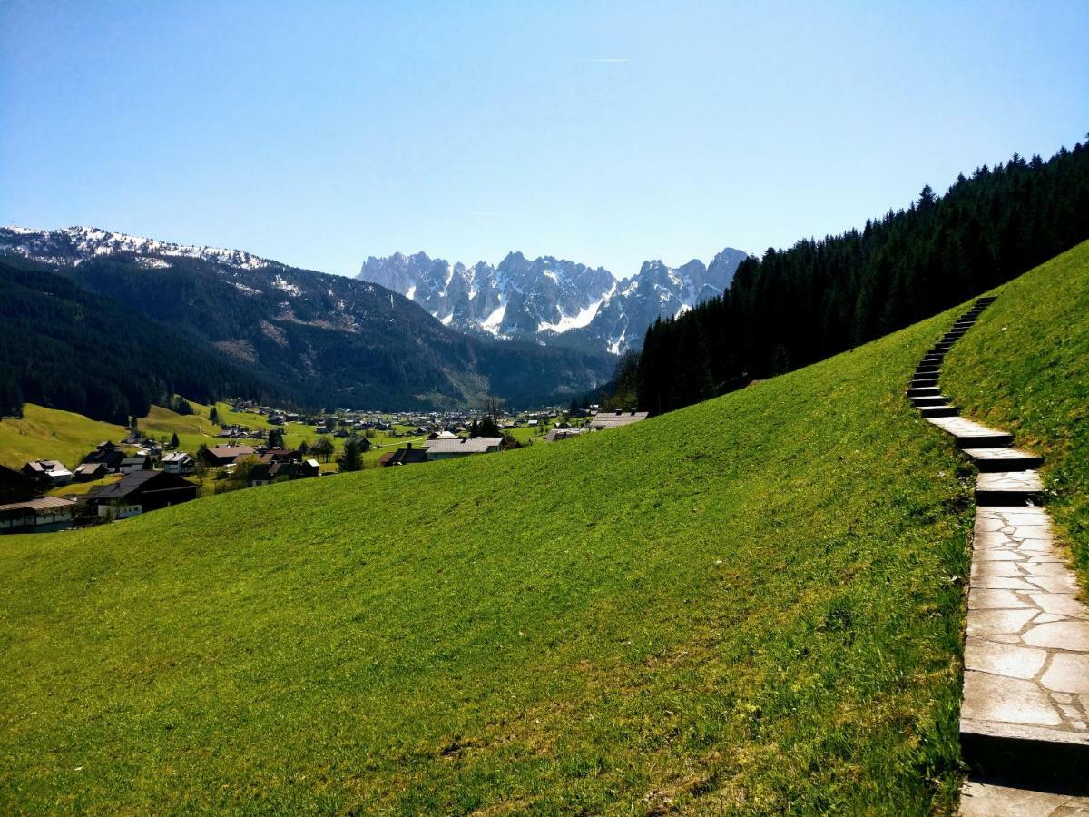 Pension Edelweiss Top 25 Gosau Exterior foto