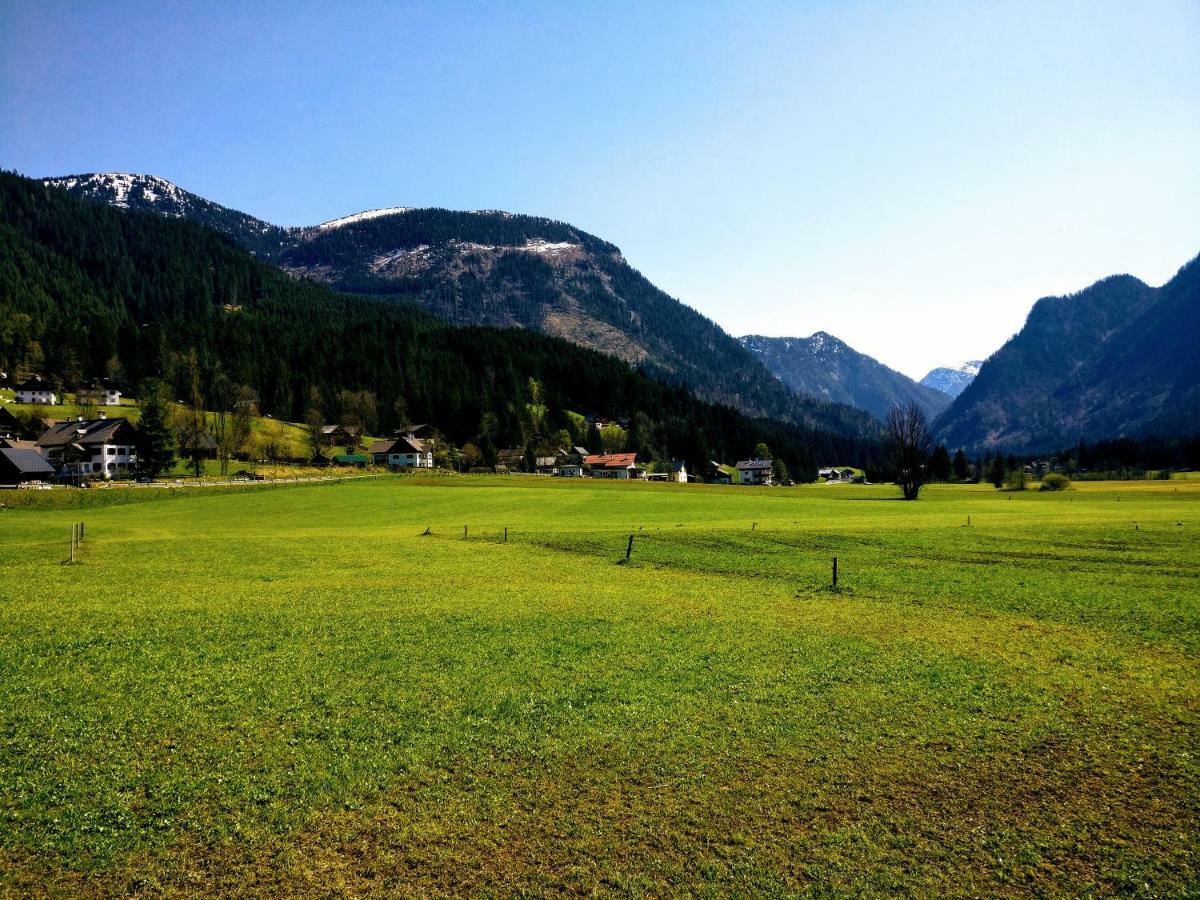 Pension Edelweiss Top 25 Gosau Exterior foto