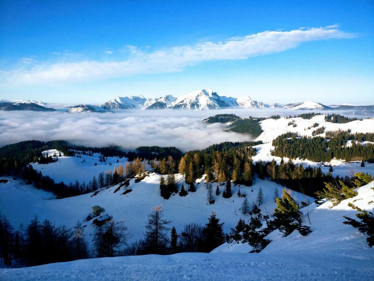 Pension Edelweiss Top 25 Gosau Exterior foto