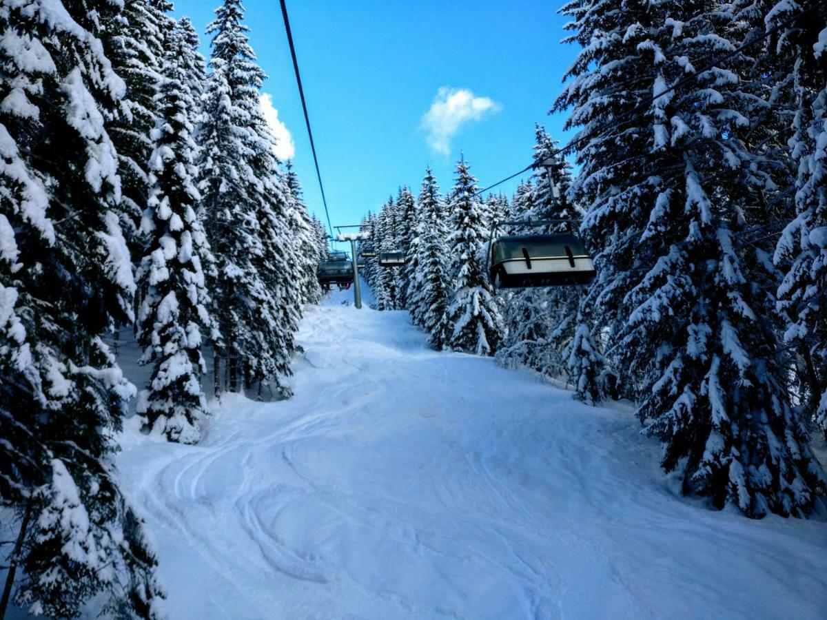 Pension Edelweiss Top 25 Gosau Exterior foto