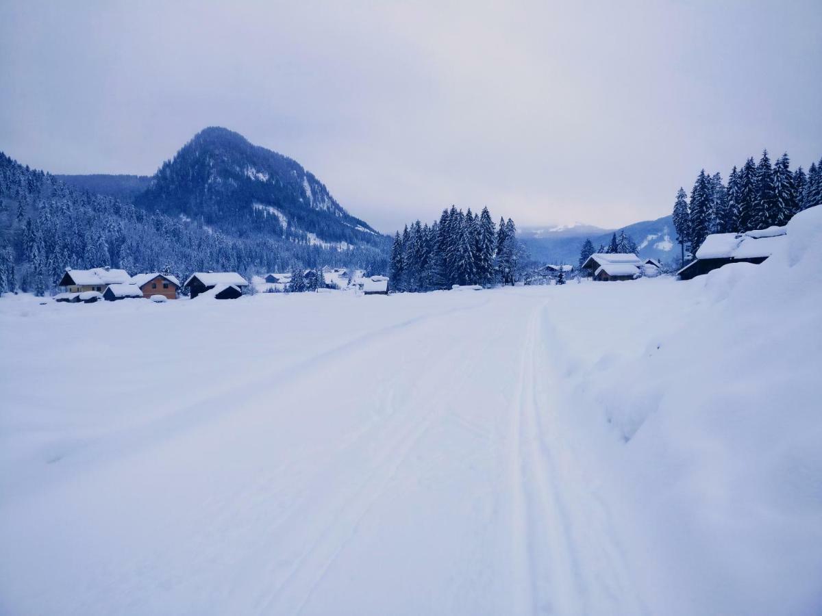 Pension Edelweiss Top 25 Gosau Exterior foto