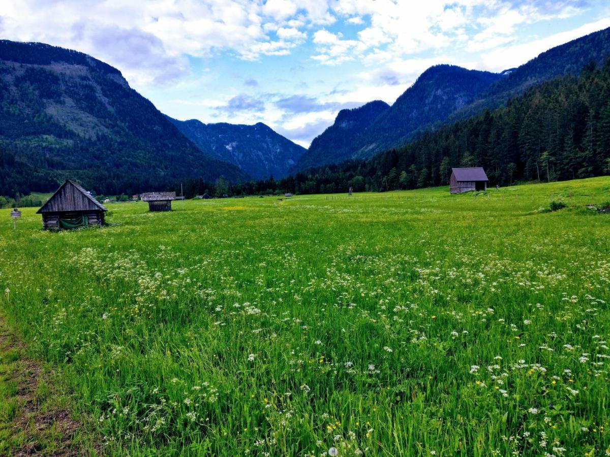 Pension Edelweiss Top 25 Gosau Exterior foto